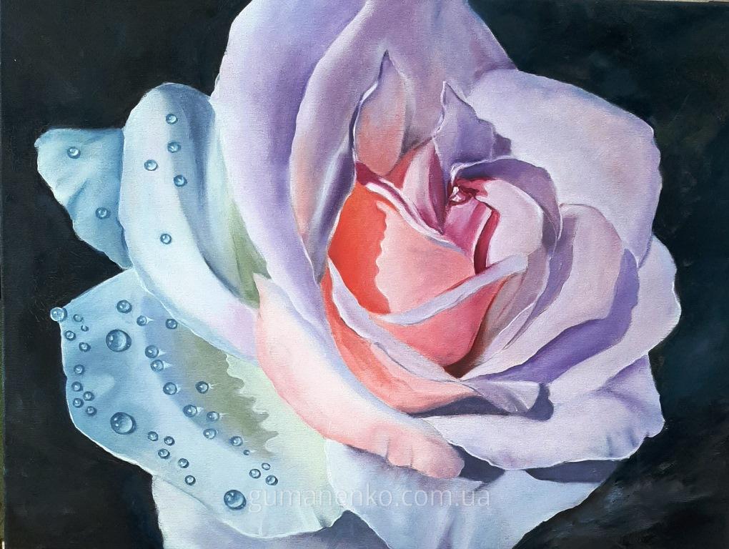 ������� "������� ������"  ����� 45�60 ��., �����.