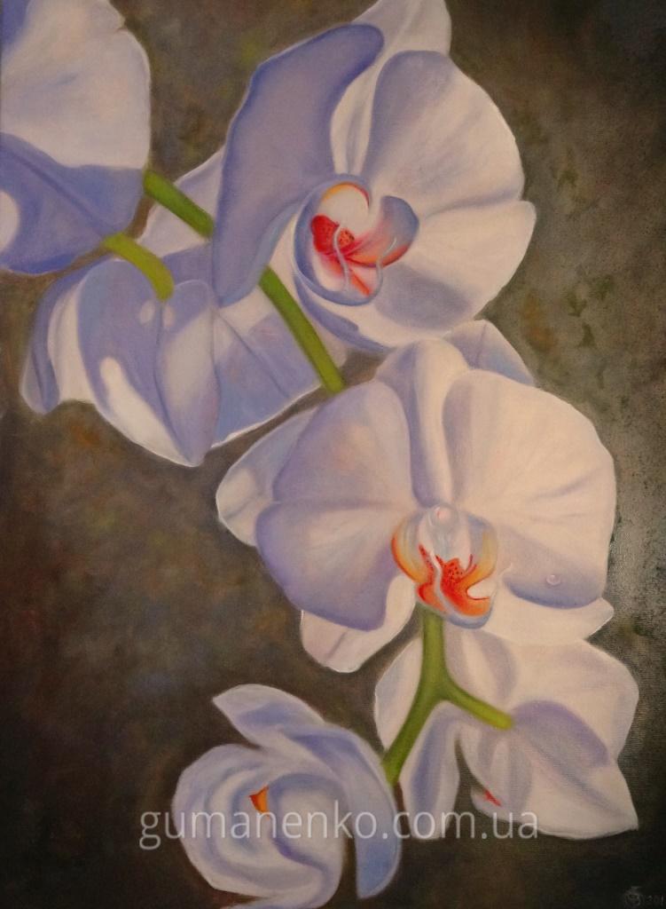 Картина "Орхидея", холст 50х70 см., масло.